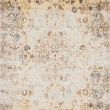 Beige Brown Area Distressed Floral(Beige)