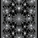 Artistic Web Inspired(Black)