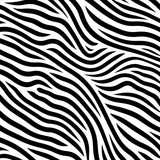 Classic Zebra Inspired Striped Handwoven Entry Collection(Black)