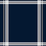 Subtle Plaid Inspired with Clean Borders (Blue)