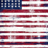 Stars & Stripes Forever Area Rug Patriotic Flair(Red)