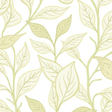 Abstract Botanical Featuring Shapes (Beige) - ODIKA