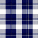 Charming Plaid Neutral(Blue)