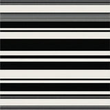 Vibrant Layout(Black)