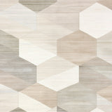 Contemporary Handcrafted Area with Interlocking Hexagon(Beige)