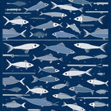 Rustic Multicolored Nautical Theme(Blue) - ODIKA