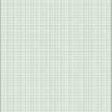 Sage Green & White Checkered Area(Beige)