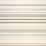 Door Mat with Minimalist Striped Design for Back Doors(Beige)