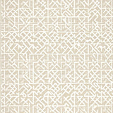 Elegant Scraper Door for Entryway Non Slip Welcome Area(Beige)