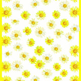 Charming Floral Yellow Accents(Yellow)