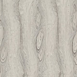 Driftwood Grain Abstract Artisan(Gray)