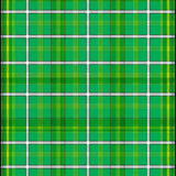 Airy Pastel Toned Plaid Style(Green)