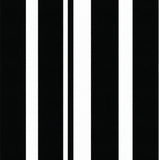 Sleek Transitional Graphic(Black)