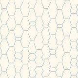 Water Absorbing Hexagon Honeycomb with Anti Slip Base (White)