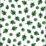 Nordic Pine Branch Evergreen Holiday Celebration with Traditional Motifs(Green)