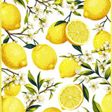 Lemon Grove Round Citrus Burst(Yellow)