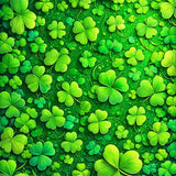 Playful Whimsical Holiday Aesthetic(Green)