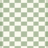 Minimalist Sage Green Checkerboard Area Rug Washable Indoor Floor Carpet(Green)