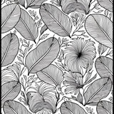 Tropical Foliage Botanical Leaf Vine Garden Path(Black)