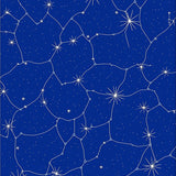 Constellation Starfield with Twinkling Celestial Motifs (Blue)