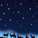 Reindeer Welcome with Starry Night Sky Background(Blue)
