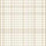 Contemporary Checked Design Area in Warm Neutral Tones(Beige)