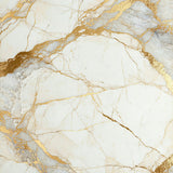 Zenith Beige and Gold Marble Veining Area(White)
