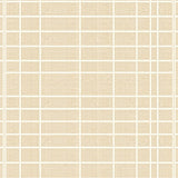 Ashley Tisdale Interiors Nepenthe Beige Checked Accent(Beige)