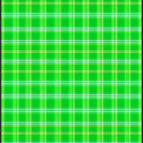 Distinctive Luxurious Patterned(Green)