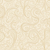 Elegant Swirling Paisley Abstract Contemporary Artistic Decorative (Ivory)
