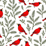Winter Cardinal Themed with Snowy Branch Illustrations(Red)