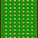 Playful Gold Coin Accents(Green)