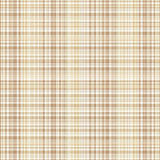 Neutral Tan & Beige Checkered Simple Geometric(Beige)
