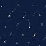 Celestial Constellation Artistic Arrangement(Blue)