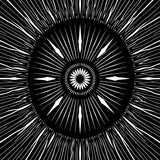 Obsidian Starburst Radial Motif Luxurious Pile (Black)