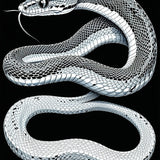 Urban Modern Serpent Style Statement(Gray)