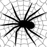 Arachnid Web Circular Floor Decoration Intricate Network(Black)