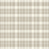 Designer Inspired Neutral Tone Plaid Look(Beige)