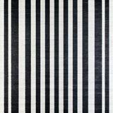 Elegant Black and White Stripe Floor Covering(Black)