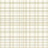 Ivory Beige Gingham Style Area(Beige)