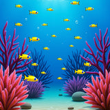 Oceanic Discovery Vibrant Aquarium Life Decorative Hallway Treasure(Blue)