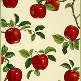 Crimson Orchard Non Slip Machine(Red)