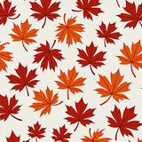 Harvest Woodland Botanical Pathway(Red)