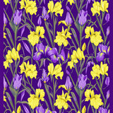 Colorful Carnival Inspired Aesthetic(Yellow)