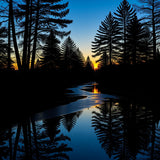 Woodland Stream Vista Arch Shaped Front Doorway Accent(Black)