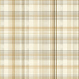 Beige Area Modern Printed Plaid Design(Beige)