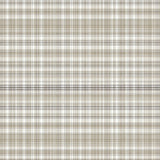 Contemporary Textured Plaid Look(Beige)