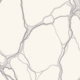 Marble Veined Luxurious Stone Inspired Elegant Natural Texture(White)