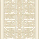 Elegant Beige and Ivory Trellis Design(Beige)