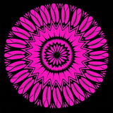 Elegant Sunburst Radial Bloom Contemporary(Pink)